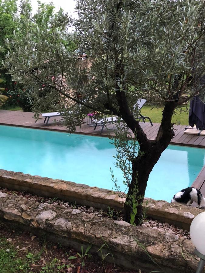 Marquis De Carrou Bed and Breakfast Rochefort-Sanson Buitenkant foto