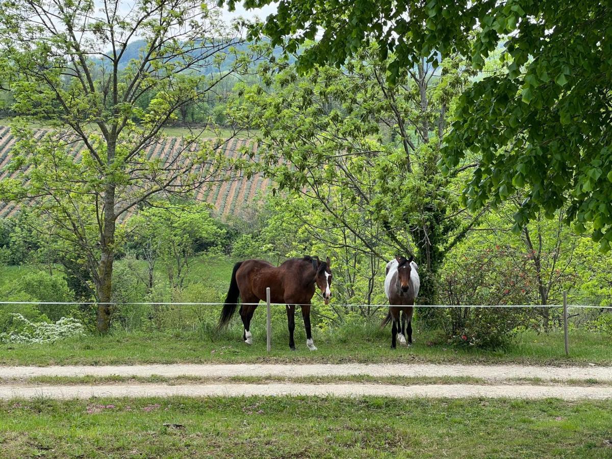 Marquis De Carrou Bed and Breakfast Rochefort-Sanson Buitenkant foto